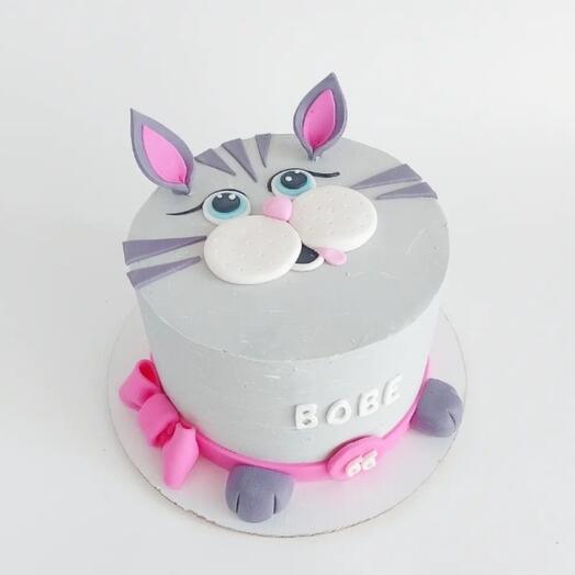 Cake Cat
