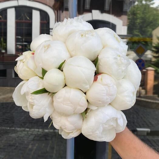 White peonies