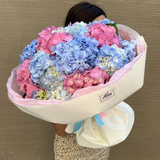 Bouquet of hydrangea