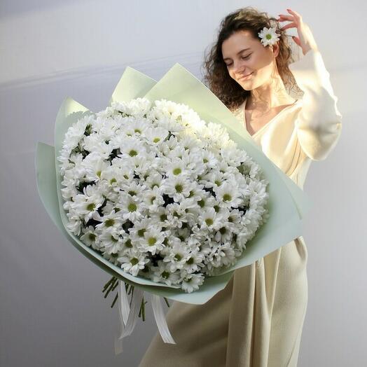 Монобукет из кустовой хризантемы «Ромашковый вальс»