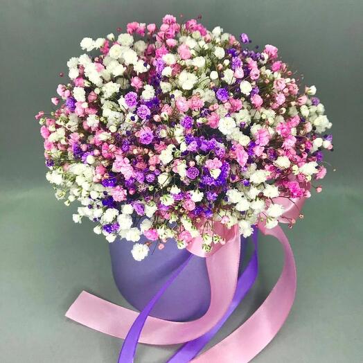 Composition of gypsophila
