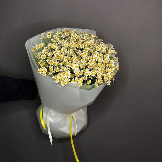Букет ромашек 002
