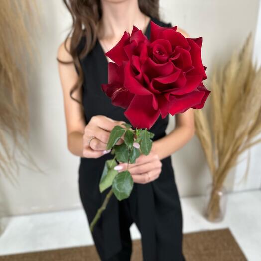 Роза ажурная 🥰