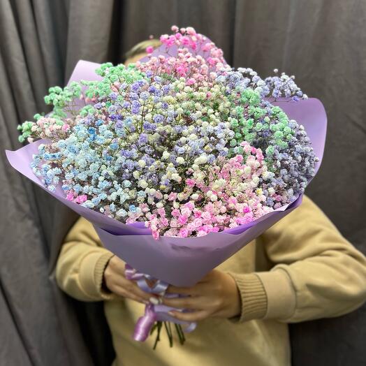 Ramo de gypsophila Nube
