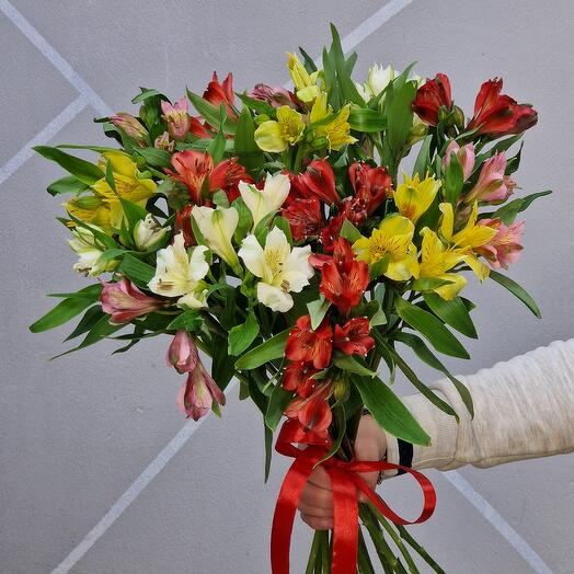 Alstroemeria 15pcs