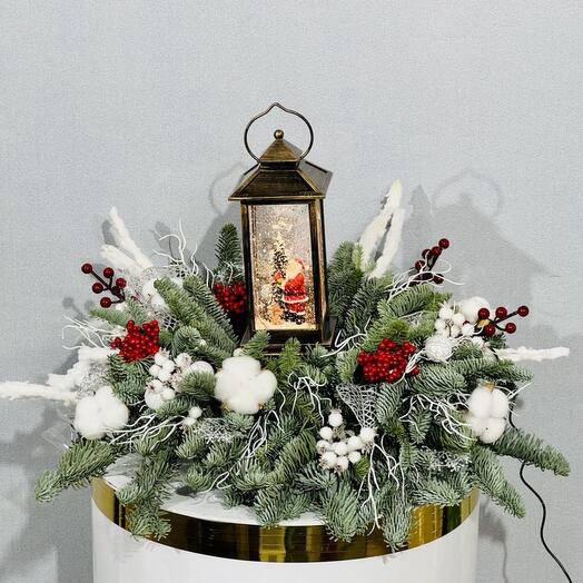 Новогодний музыкальный фонарь с живой датской сосной нобилисом