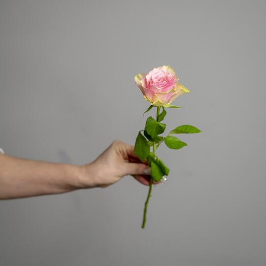 Rose mini 37 cm