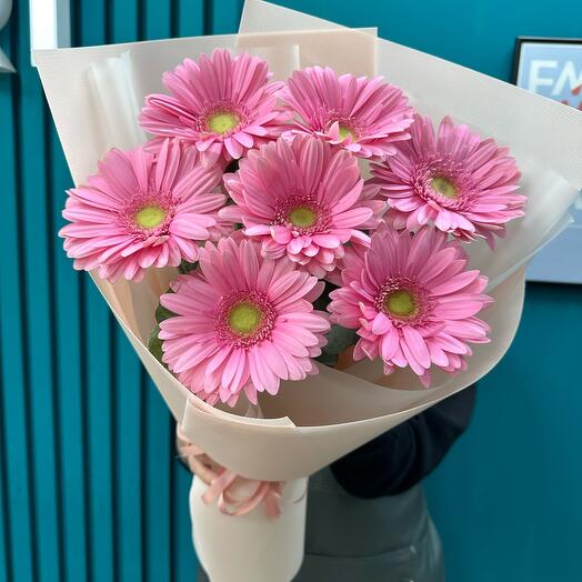 Pink gerberas