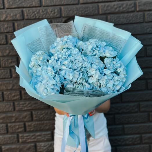 7 blue hydrangeas