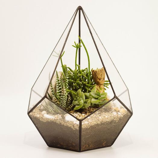 Флорариум Грут макси