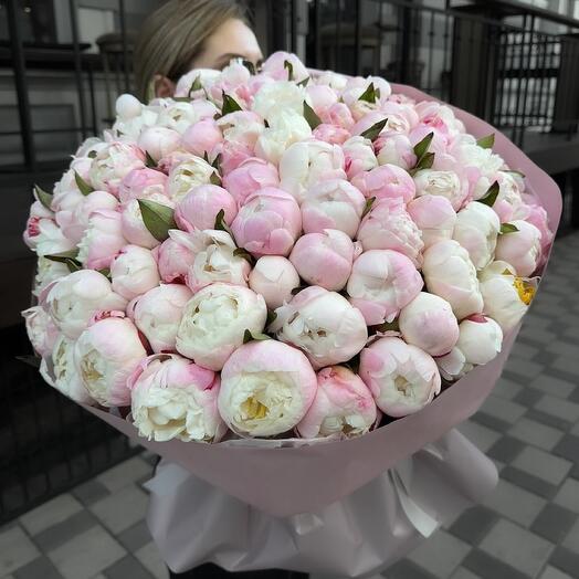 101 пион