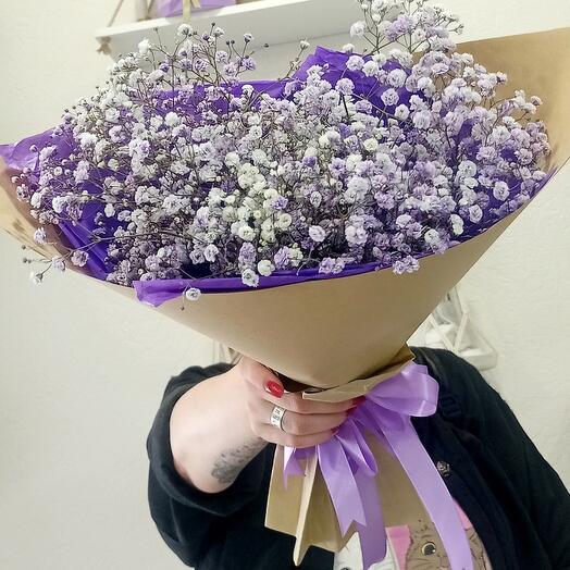 3 lila gypsophila