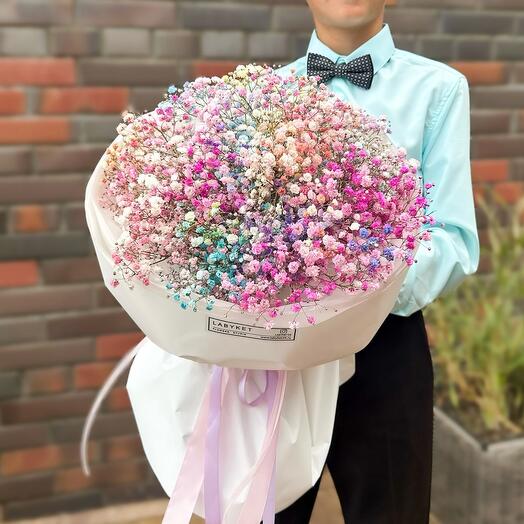 Rainbow Gypsophila Cloud