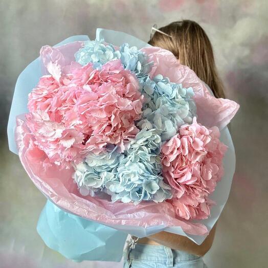 Pink and blue hydrangeas