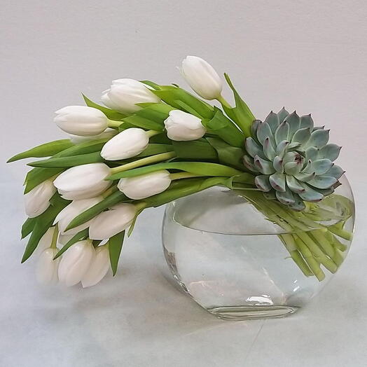 Tranquil Buds: 20 White Tulips   Secklan Plant in a Vase