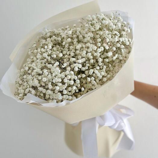 White gypsophila