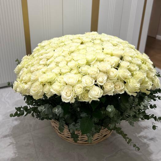 Корзина с цветами 301 Роза
