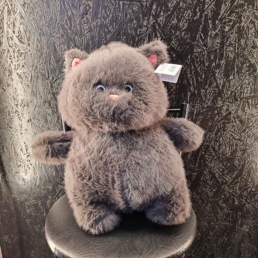 Кот толстяк