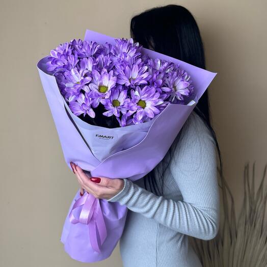 Фиолетовые ромашки💜