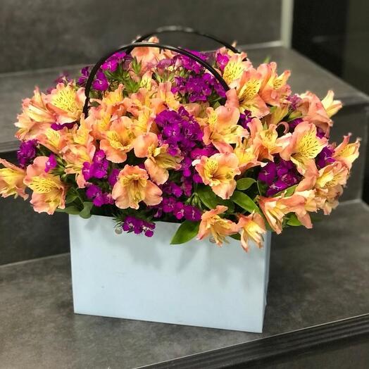 Alstromeria basket