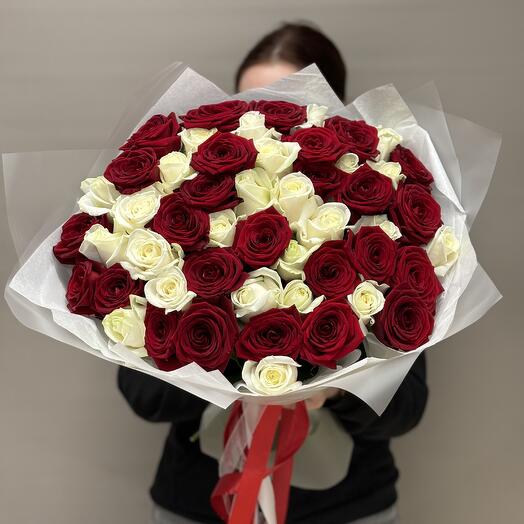 51 роза красный белый