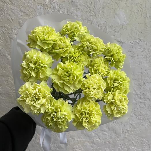 Стойкий букет из 15 салатовых диантусов