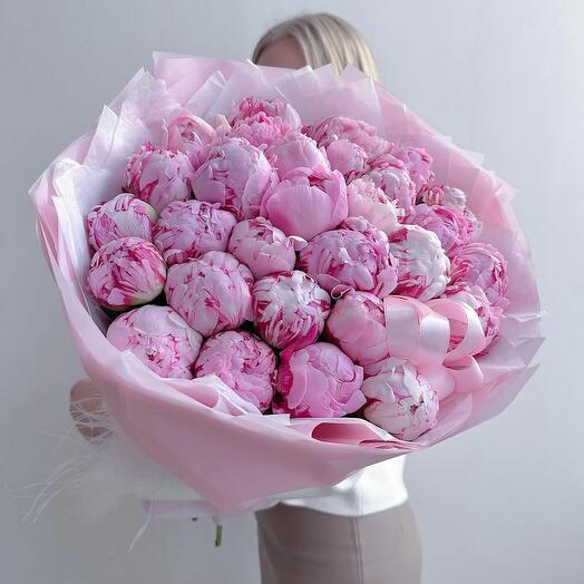 51 пион розовый