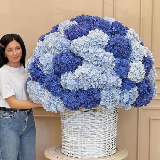 Bouquet of blue and light blue hydrangeas in wicker basket