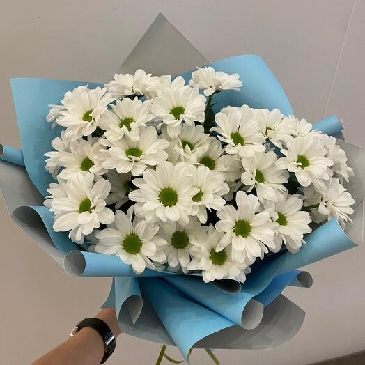 Bouquet of 5 bush chrysanthemums in pistachio packaging