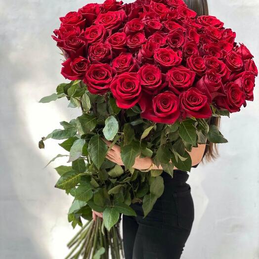 51 метровая роза