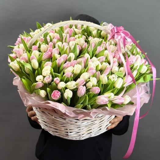 201 Тюльпан микс в корзине