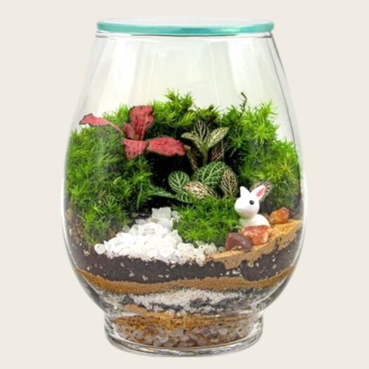 Minatare forest terrarium in a Mini glass bowl