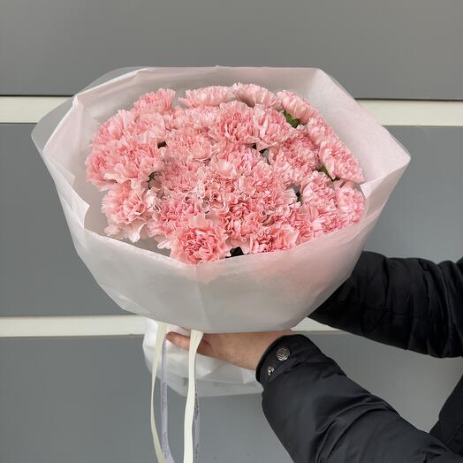 Dianthus tierna