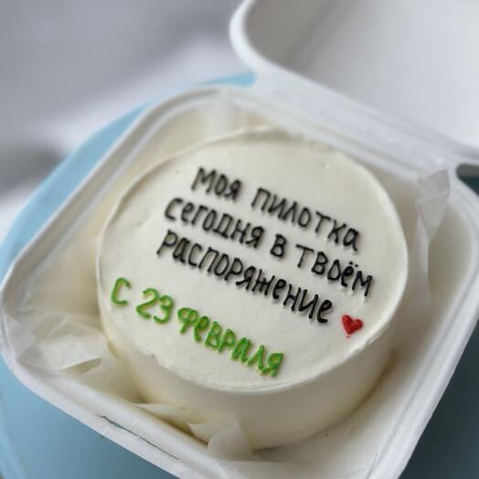 Бенто торт размер S Моя пилотка