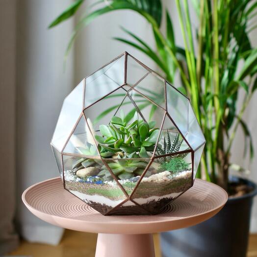 Florarium Kosmos