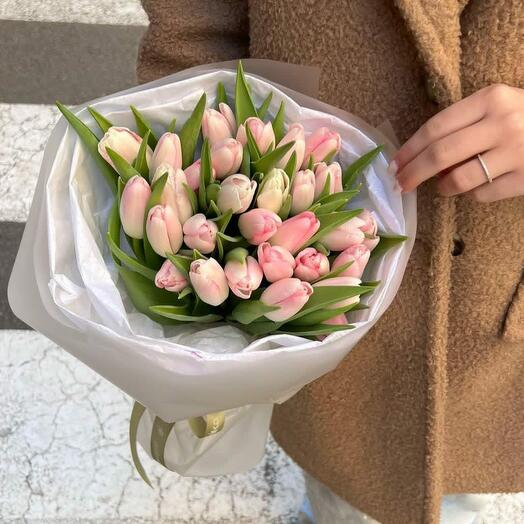 Delicate tulips 25 pieces