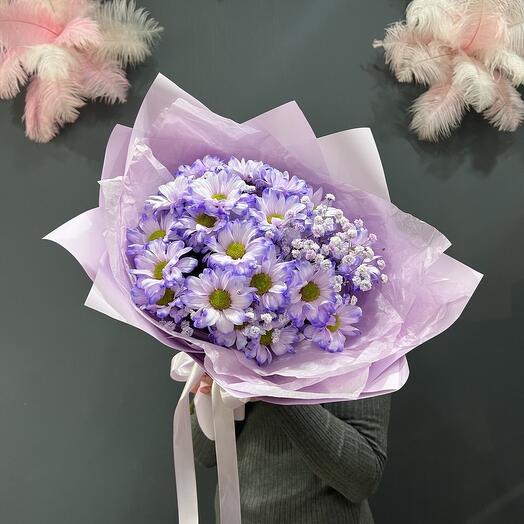 Хризантема ромашка 💜