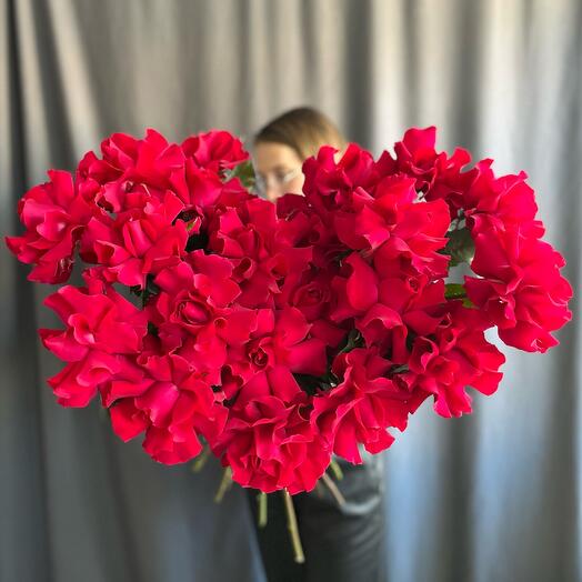 Французская роза, 25 шт, Малиновая