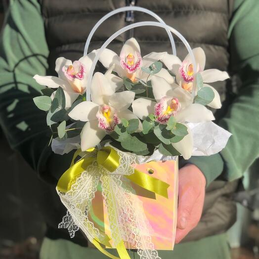 Сумка стойких белых орхидей