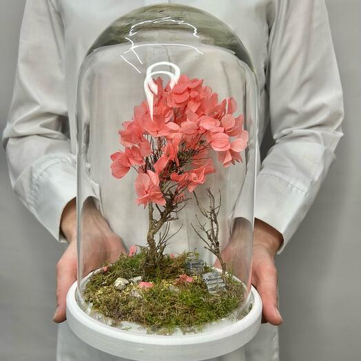 Композиция «Garden» Клош с сухоцветами