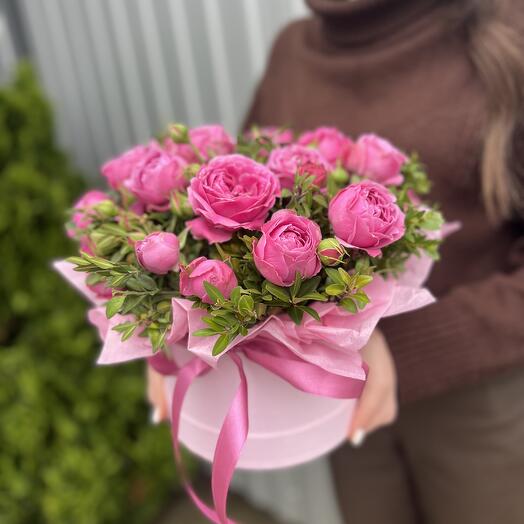 Мисти баблс  в коробке