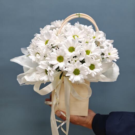 Ромашка белая