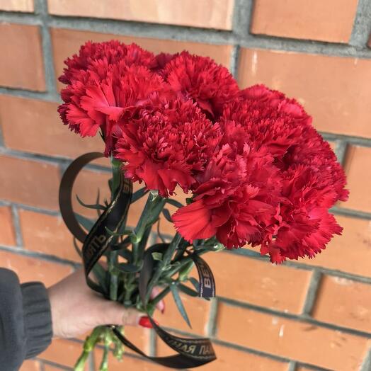 Гвоздика красная 9 мая 10 шт