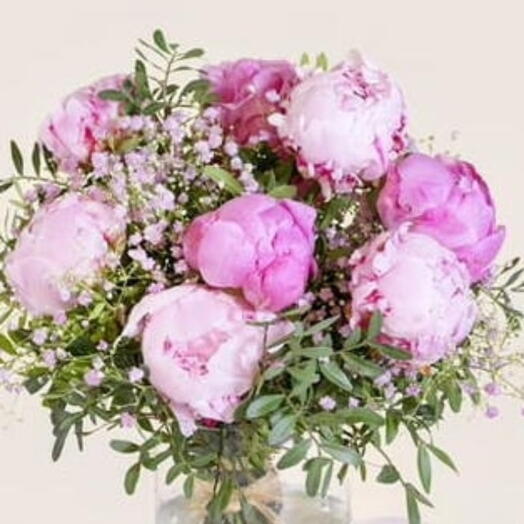 Pivoine rose