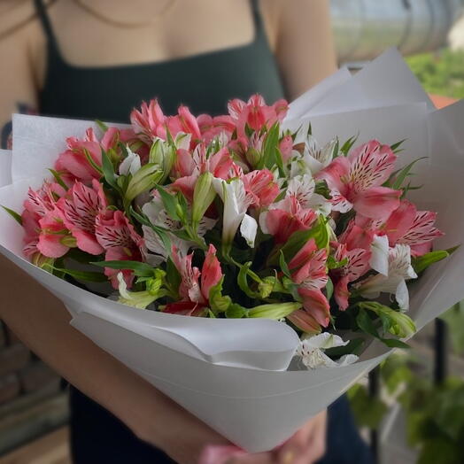Petals promise|Quiet Elegance