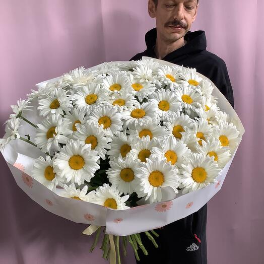 Букет из 51 крупной ромашки
