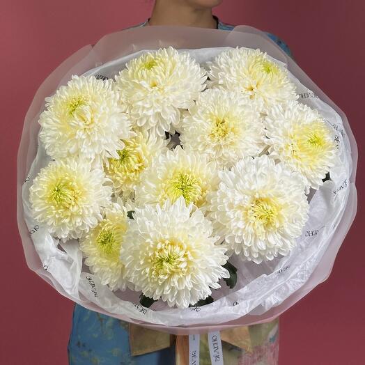 Шикарные хризантемы🧸