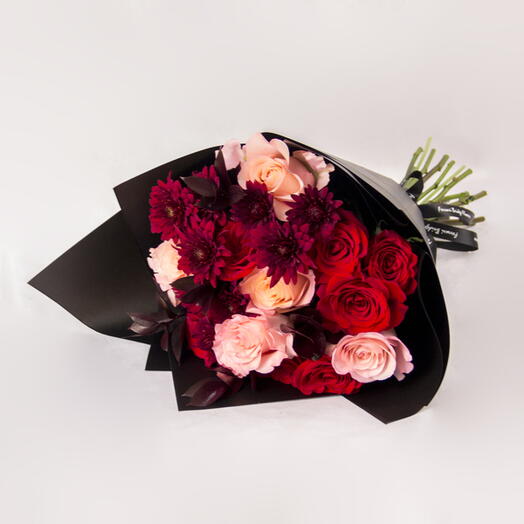 Dahlia   Rose Delight