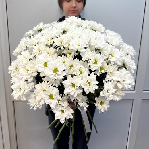 Букет из 15 ромашек