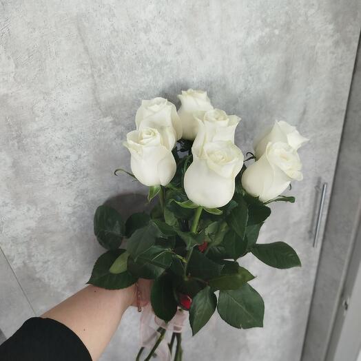 Розы Мондиаль под ленту